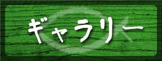 専門店の様々な調理法で鮪を堪能ください